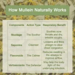 How mullein naturally workds