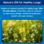 Revised Bio Mullein Magic Gummies 2
