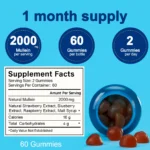 Revised Bio Mullein Magic Gummies 6