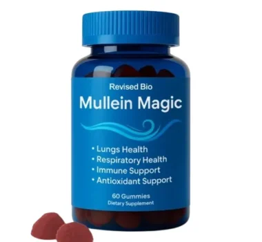 Artboard-3-copy-4-1-600x600-removebg-preview Artboard-3-copy-4-1-600x600-removebg-preview