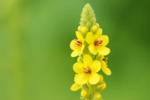 Nov 12, 2025, 02_52_27 PM (1)