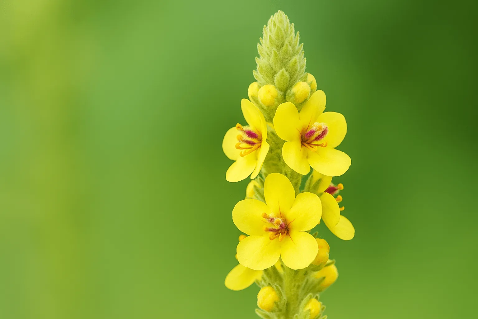 Nov 12, 2025, 02_52_27 PM (1)