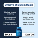 Mullein Magic Gummies- With 2000mg Mullein, For Respiratory Comfort - Image 8