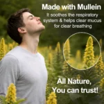 Mullein Magic Gummies- With 2000mg Mullein, For Respiratory Comfort - Image 4