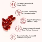 Astaxanthin 12mg + MCT Oil | The Antioxidant Your Body Actually Absorbs | 120 Softgels - Image 3
