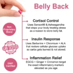 Belly Back – Hormonal Belly Support for Women 40+ - Image 3