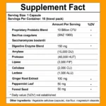 JETSET — Traveler's Stomach Support - Image 5