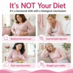 SETTLED — Digestive Support for Menopause | Bloating Relief for Women 40+ | Probiotics, Digestive Enzymes, Peppermint, Ginger | 60 Capsules - Image 5
