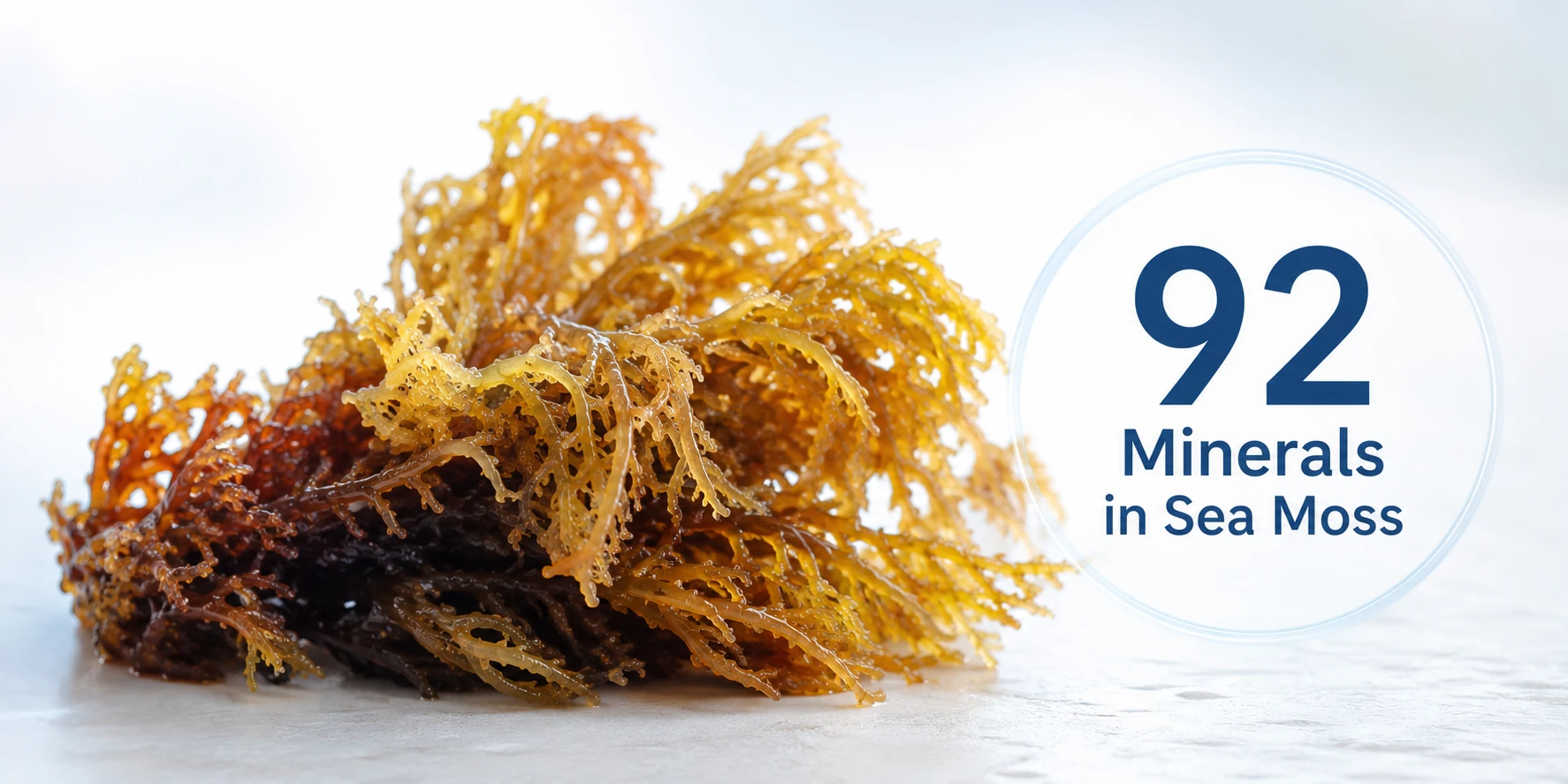 92 minerals in sea moss matrix