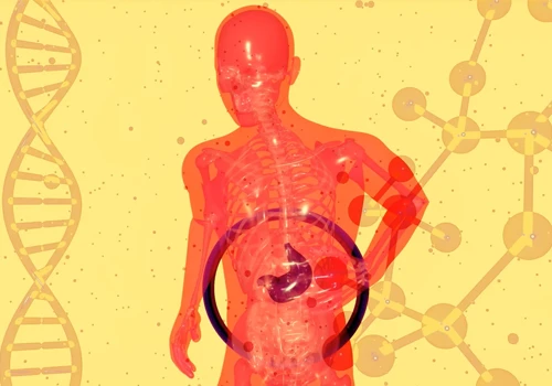 New bacteria and microbes when traveling