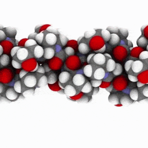 UC-II undenatured type II collagen
